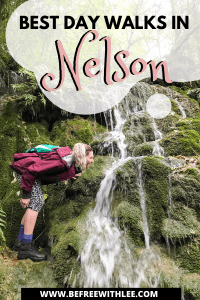a pinterest image of this article on the best walks in Nelson