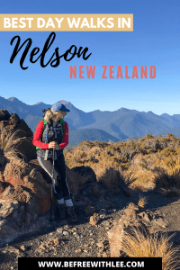 another pinterest image of this article on the best walks in Nelson