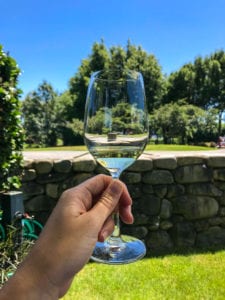 a beautiful photo of a glass of sav on one of my favourite marlborough wine tours