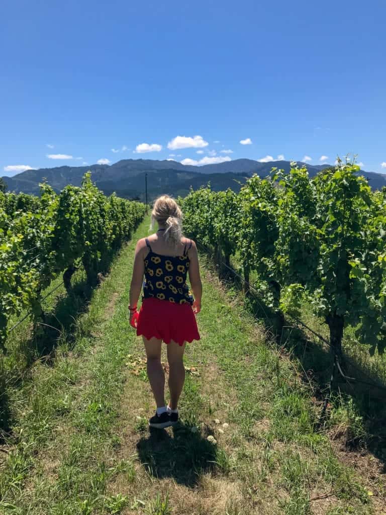 A photo of me walking through a stunning marlborough vineyard