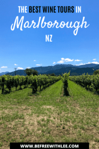 another pinterest image of this article on the best marlborough wine tours