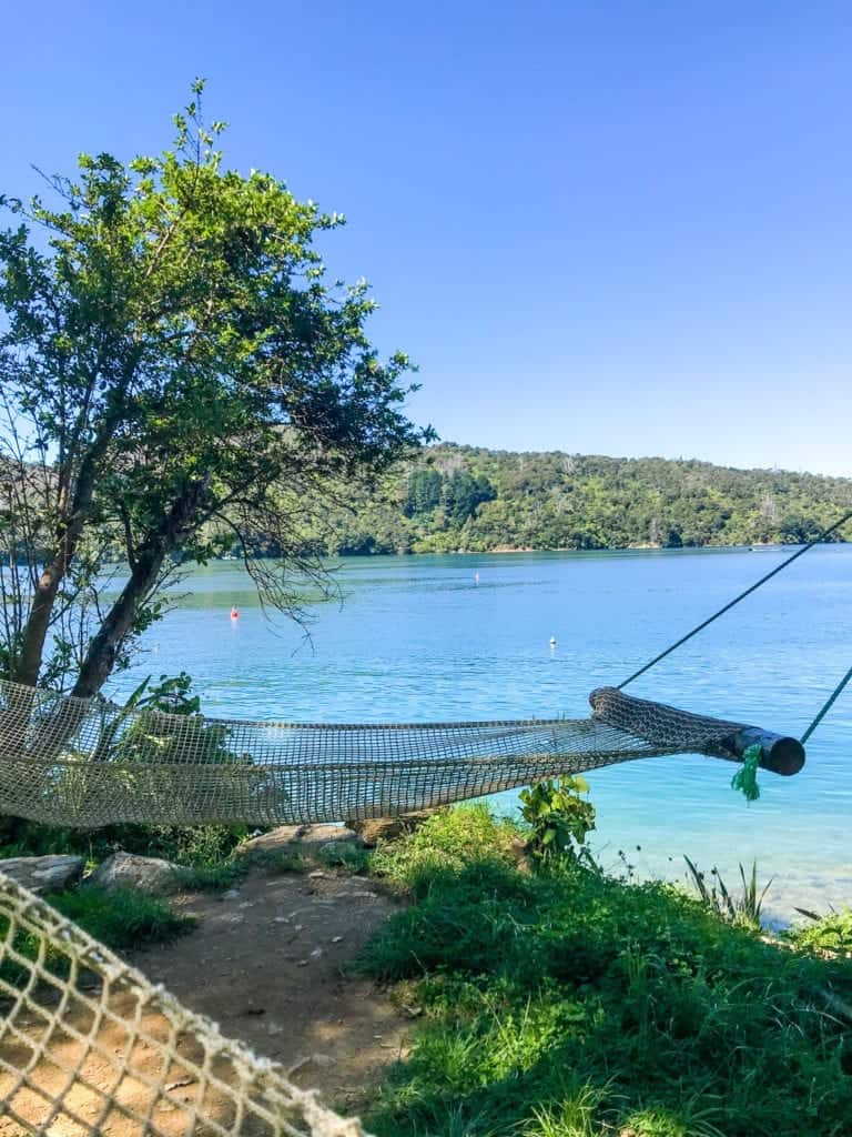 A picture of a hammock at one of my favourite accomodation in marlborough sounds I loved spending the afternoon relaxing on it! 