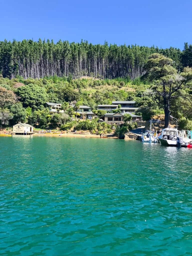 A photo of Lochmara Lodge one of my favourite accommodation in marlborough sounds 