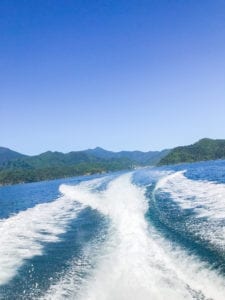 A picture from the back of the boat on my way to accommodation in marlborough sounds