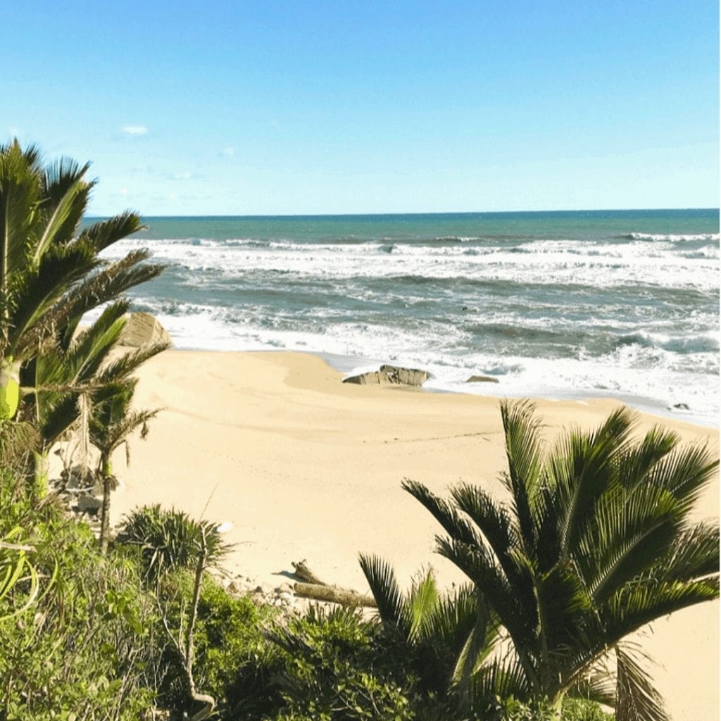 photo of a beautiful beach on the heaphy track hike