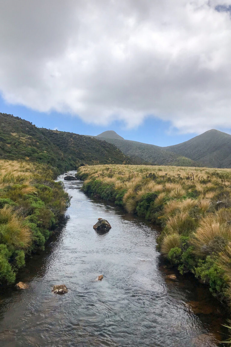 Everything you need to know about hiking the Pouakai circuit ...