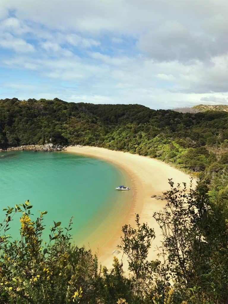 summer is a beautiful time to visit New Zealand and the most popular season for South Island road trips. This photo is of my favourite beach in the Abel Tasman National Park! 