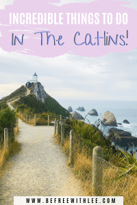 a pinterest image of this article on the best things to do in the catlins