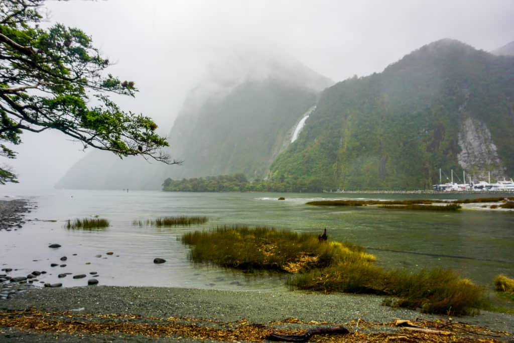 te-anau-to-milford-sound 2 