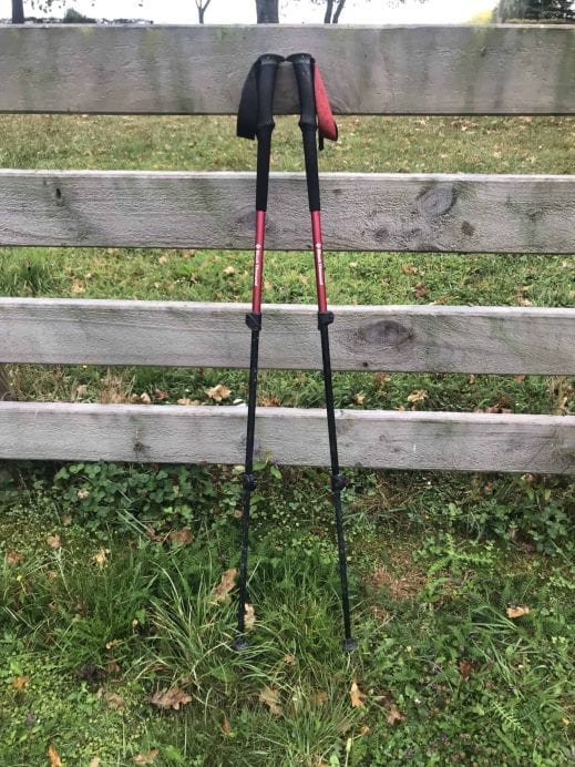 Are trekking poles worth it? How to decide if they are right for you ...