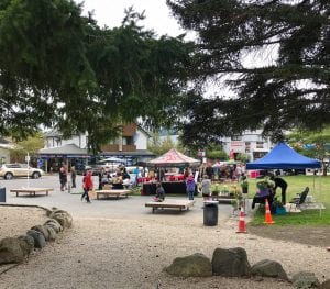 a photo of saturday market in hanmer springs