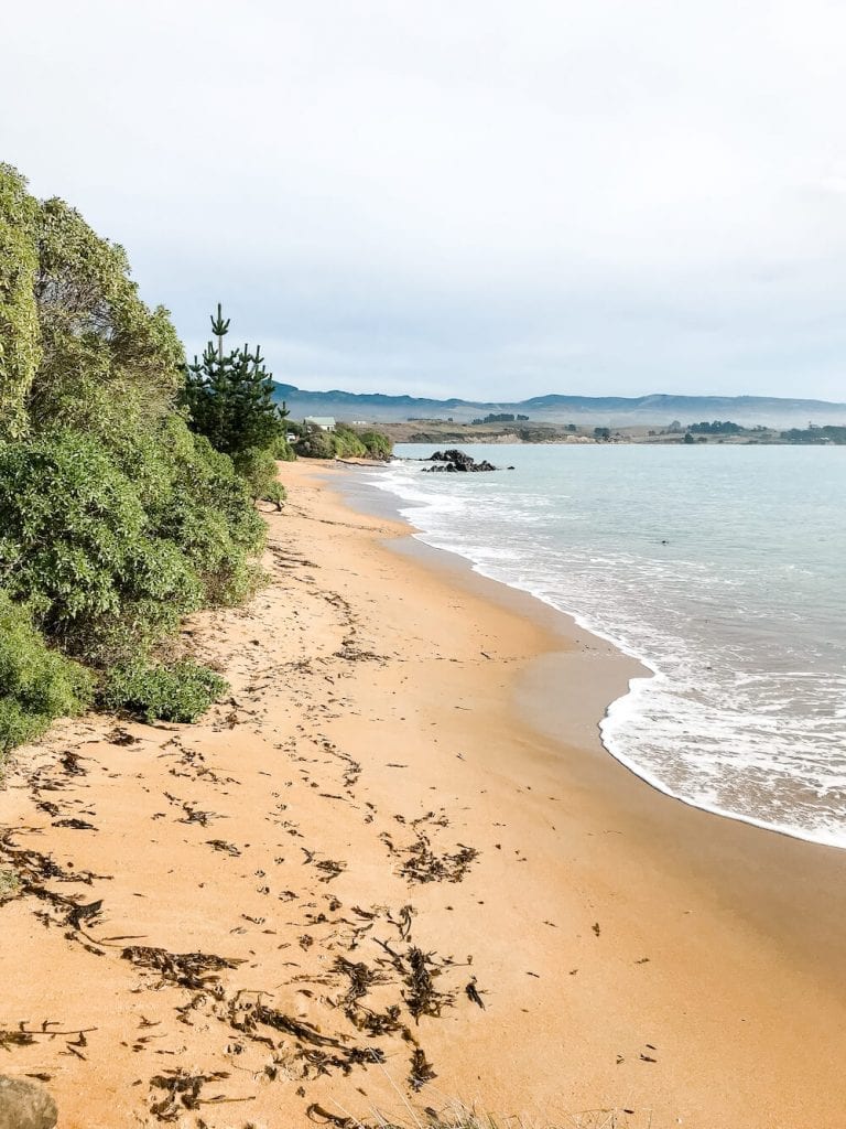 Moeraki is one of the most beautiful places and best things to do in Otago